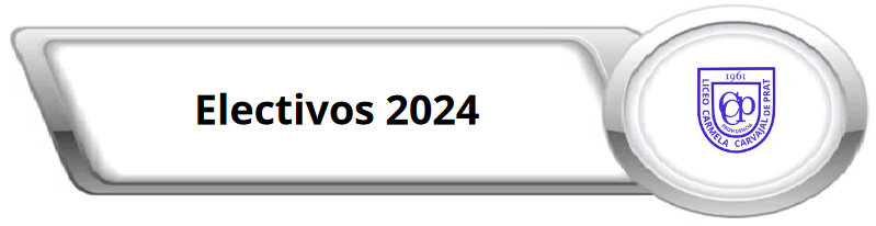 electivos 2024