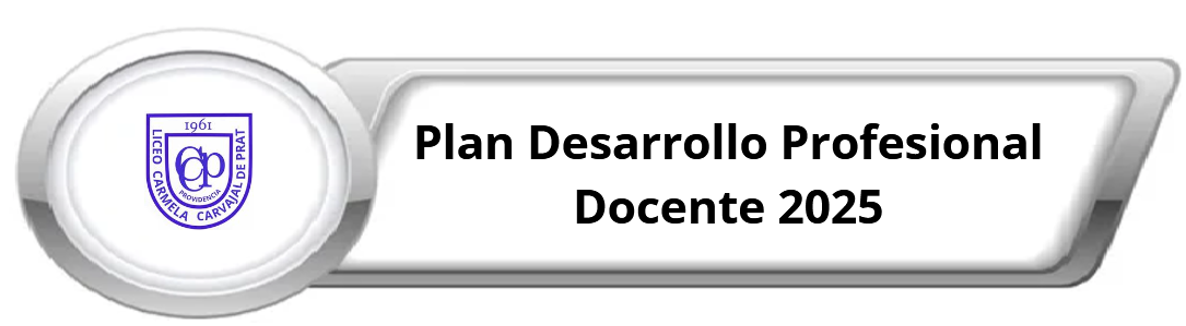 plan desarrollo profecional docente 2025