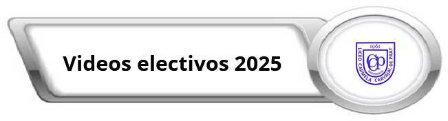 boton electivos 2025