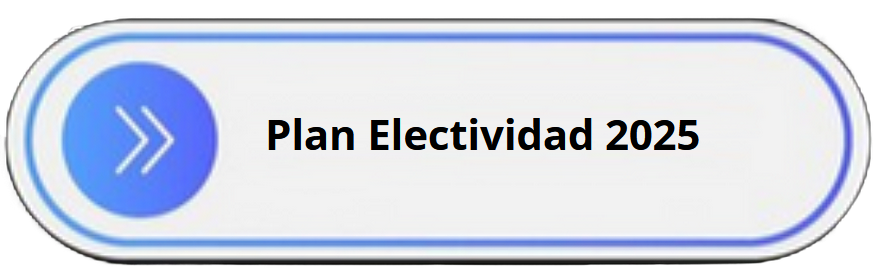 2plan electividad 2025