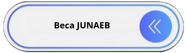 beca junaeb