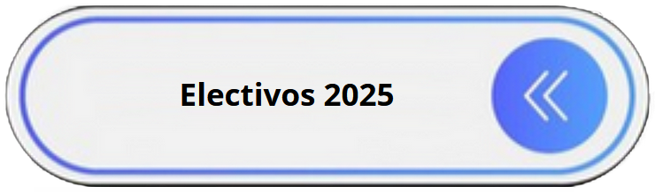 electivos 2025