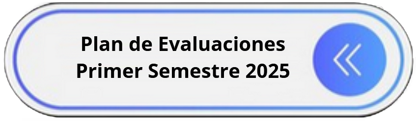 plan de evaluaciones primer sem 2025