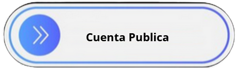 cuenta publica 2026