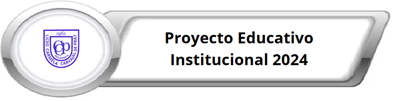 proyecto educativo 2024